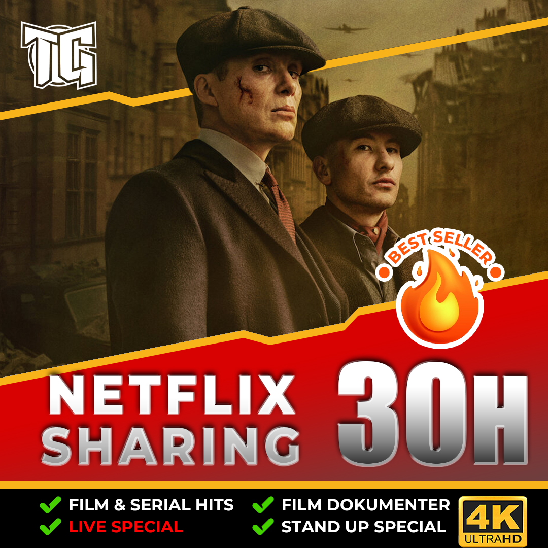 Netflix Sharing 30 H